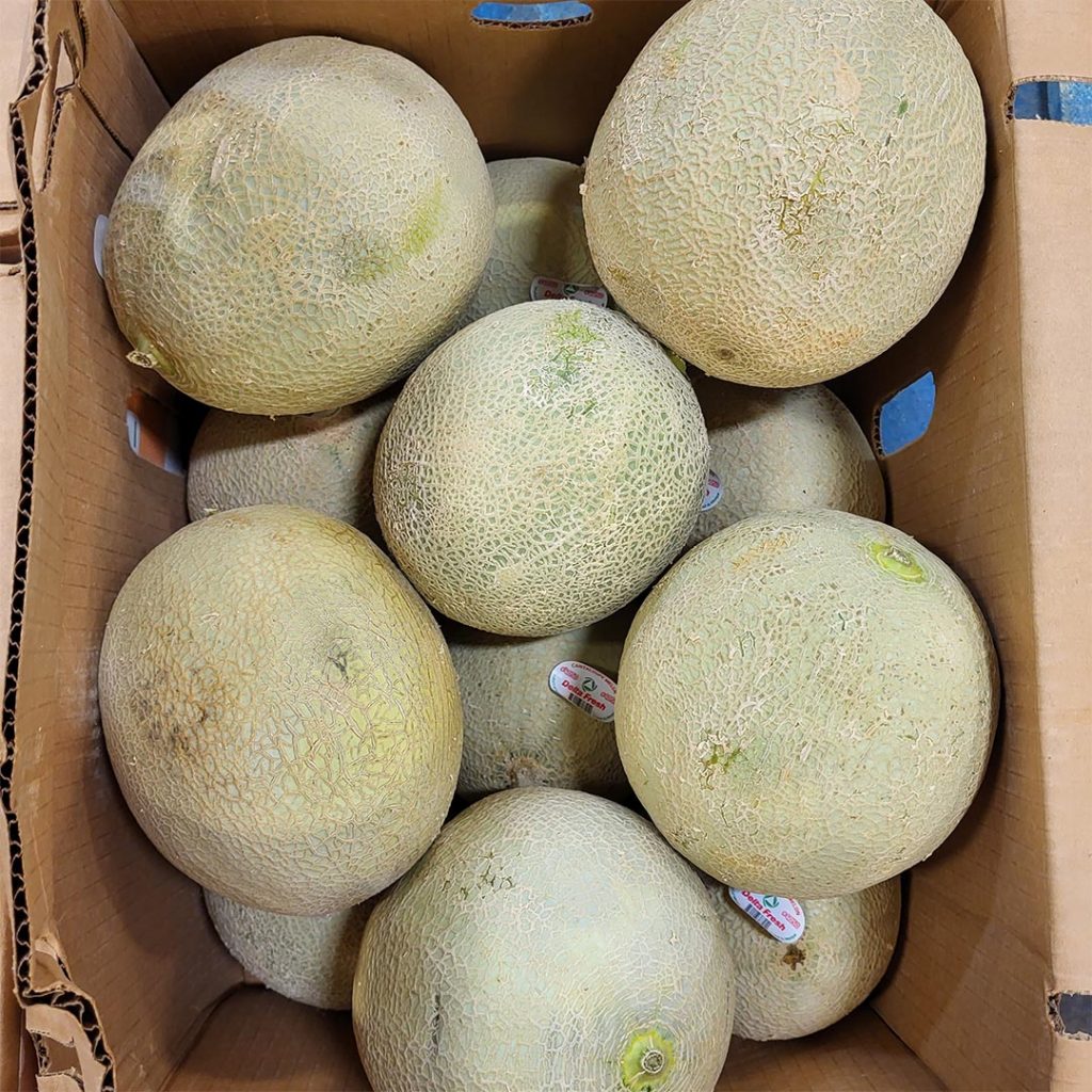 Cantaloupe 12 Count