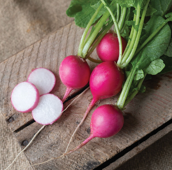 Radish 12 LB Case