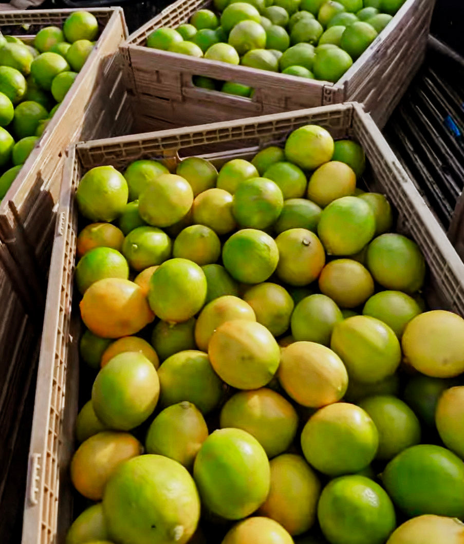 Valley Lemons 40 LB Case