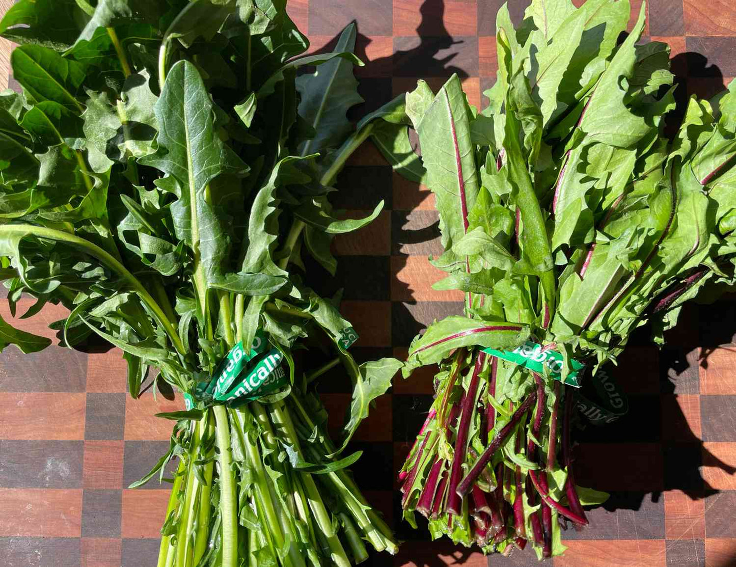 Dandelion Greens 12 Count Organic