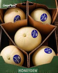 Honeydew 8 Count