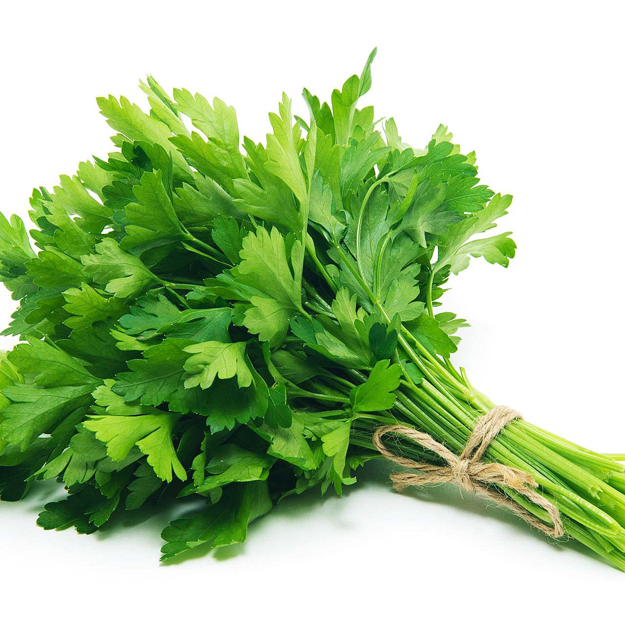Italian Parsley 30 Count Organic