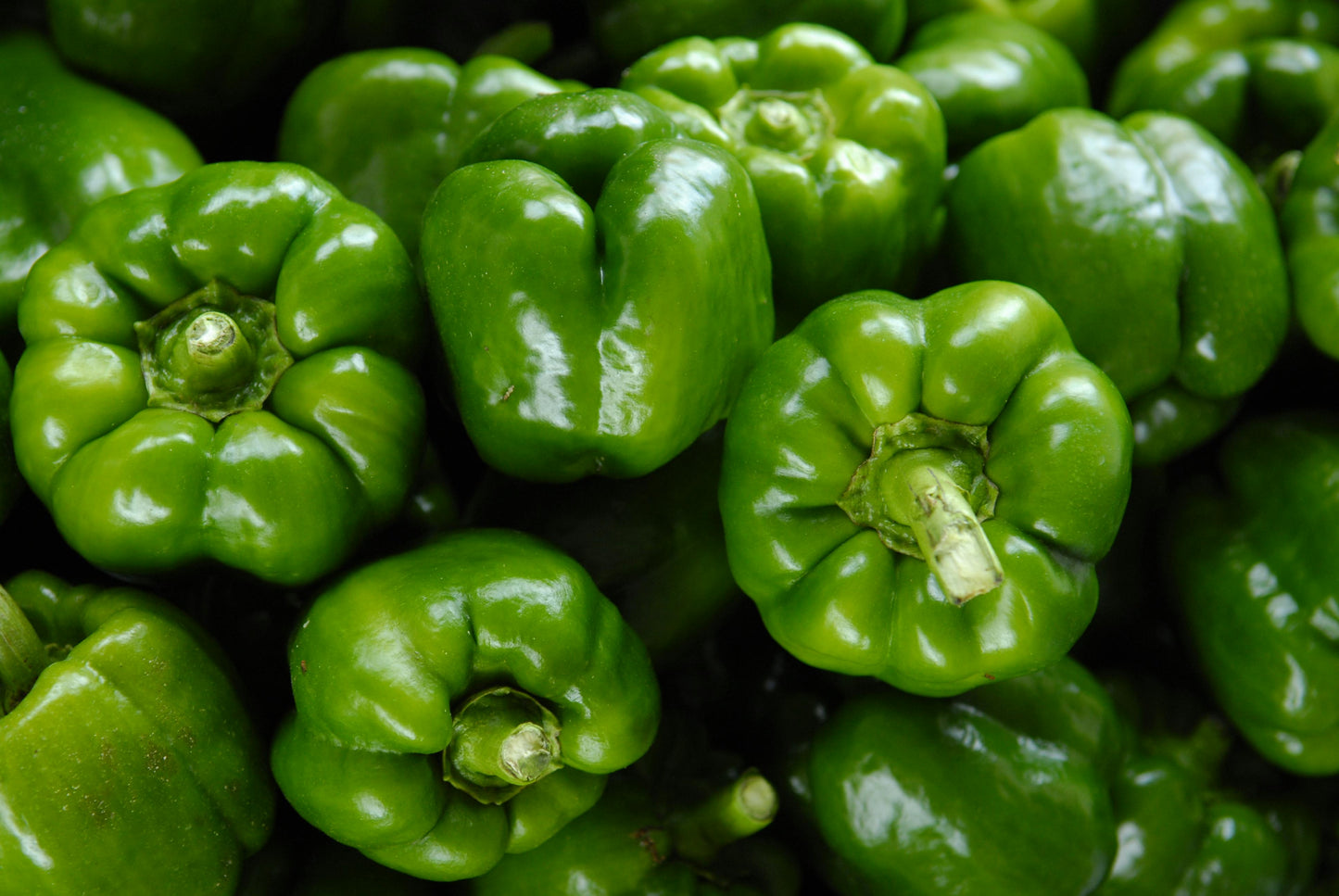 Green Bell Peppers
