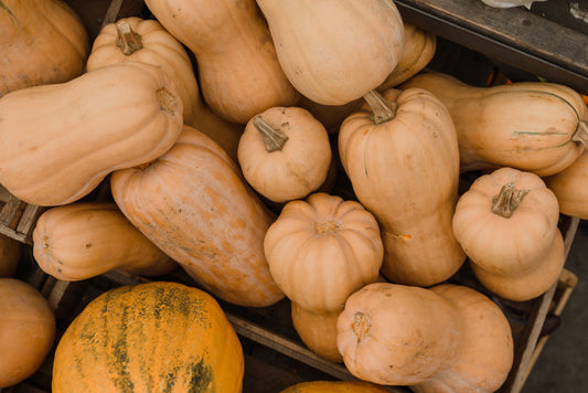 Butternut Squash 20 Lb