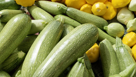 Calabazita (Grey Squash) 20 Lb