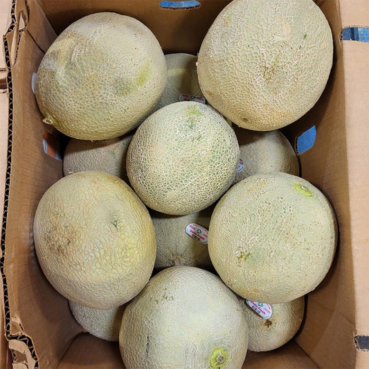 Cantaloupe 12 Count
