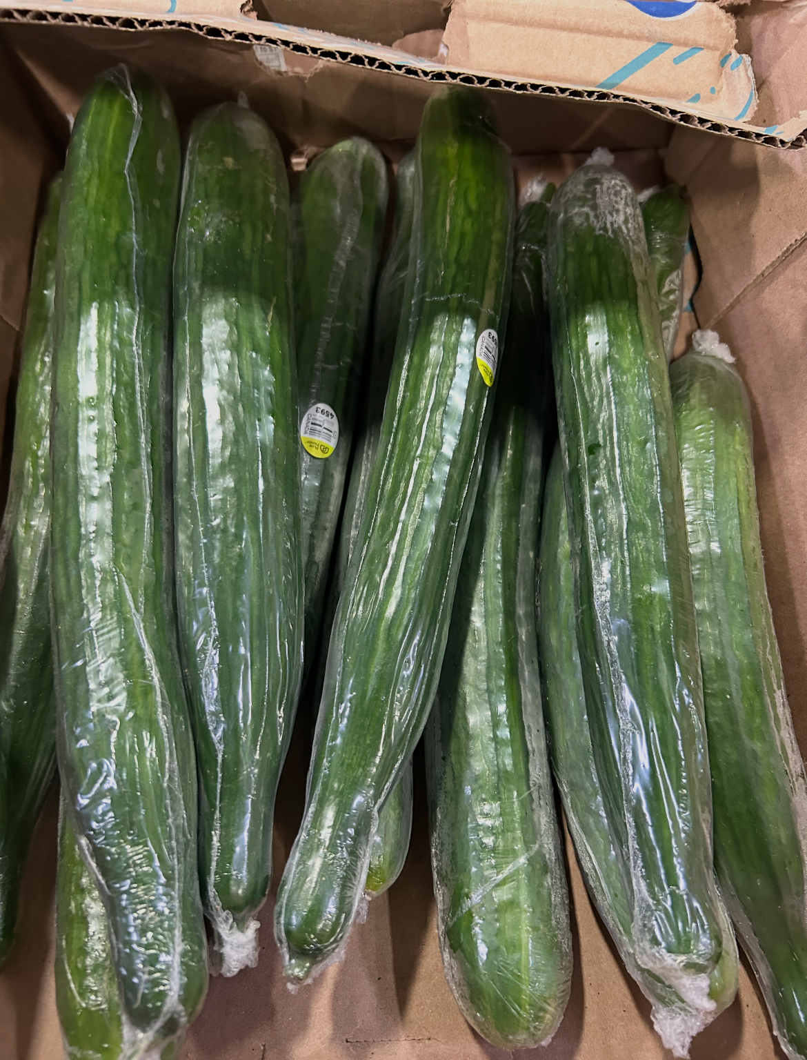 Slicing Cucumbers 10 LBS