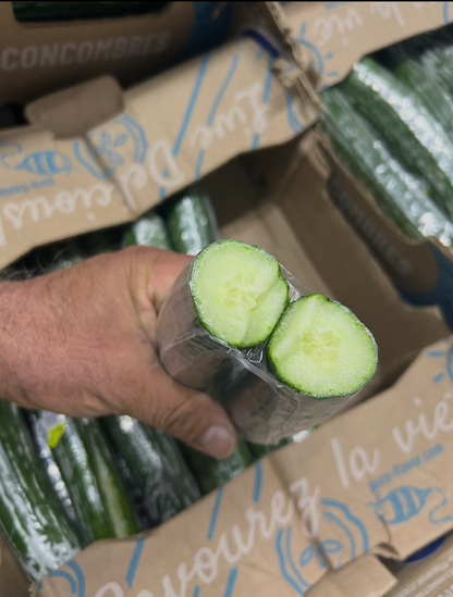 Slicing Cucumbers 10 LBS