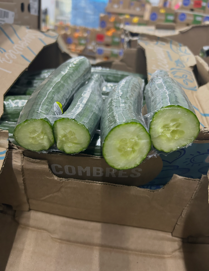 Slicing Cucumbers 10 LBS