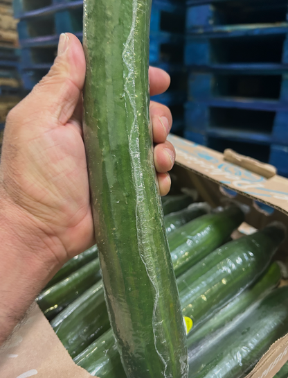 Slicing Cucumbers 10 LBS