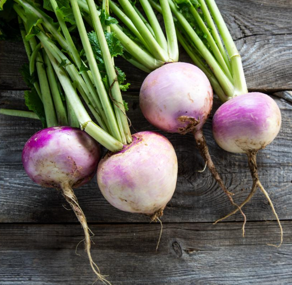 Radish Watermelon  - Fresh Cut