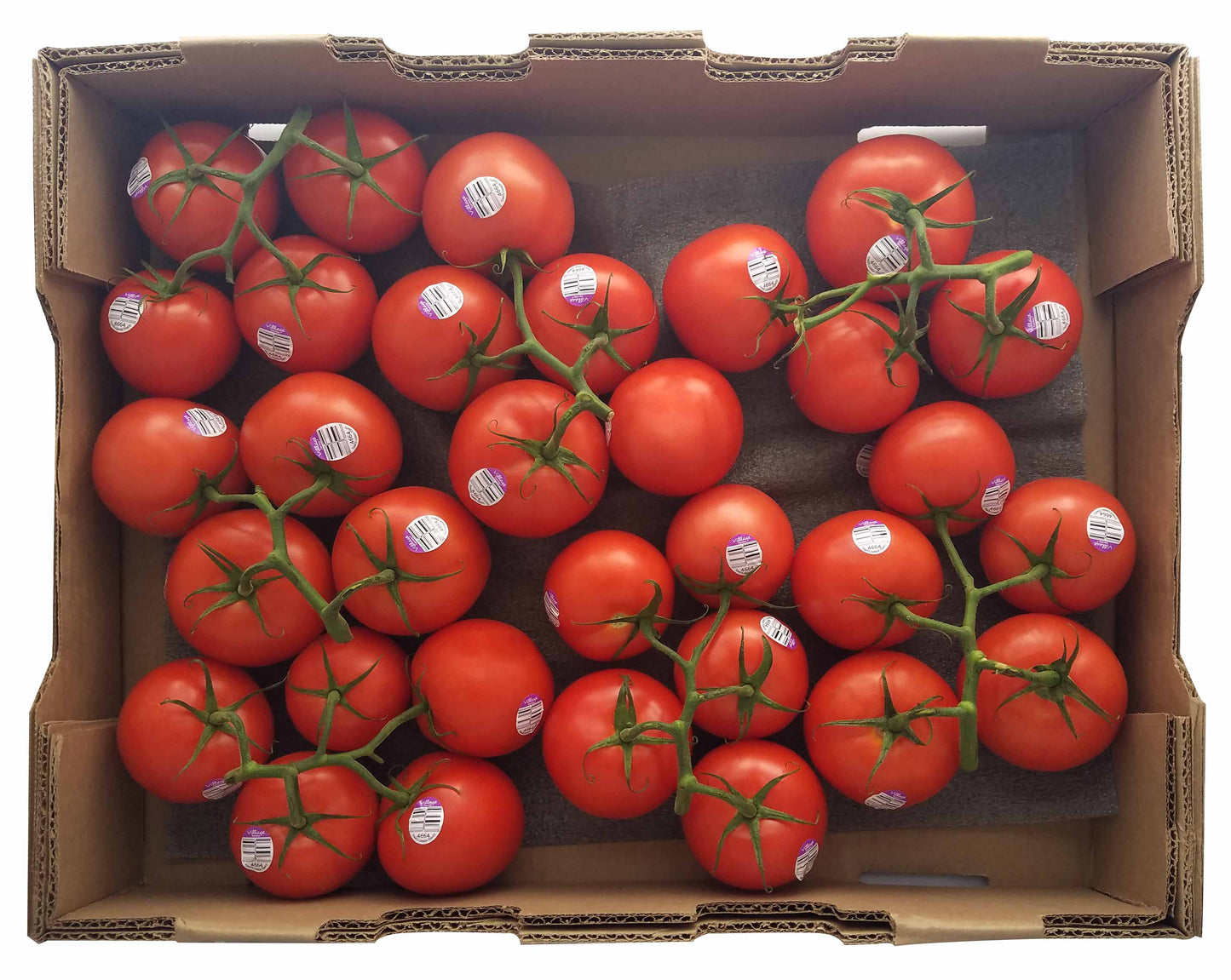 Tomatoes