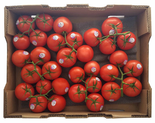 Tomatoes