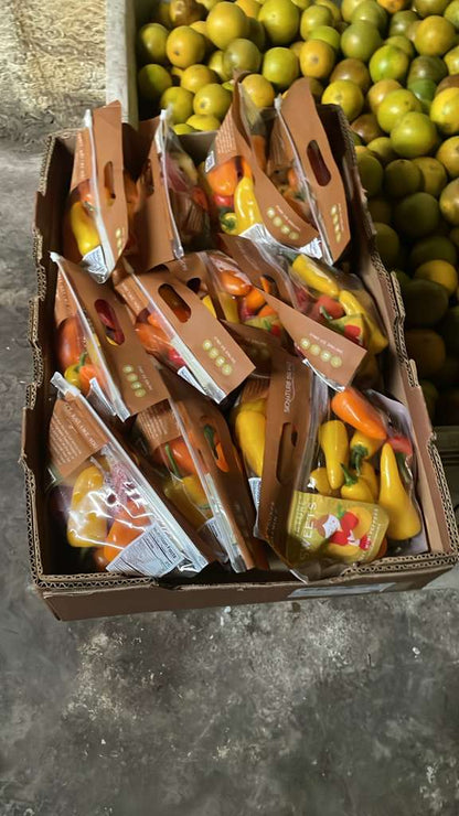 Mini Sweet Peppers