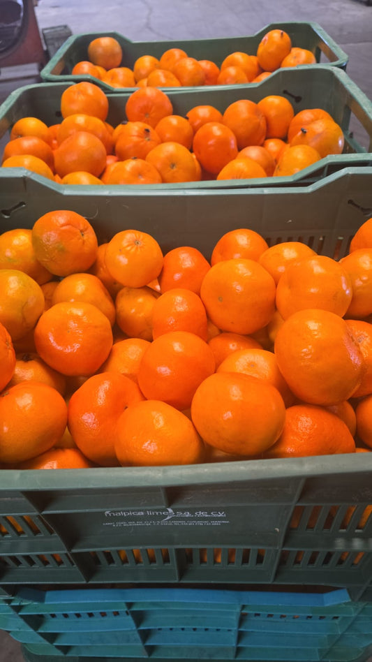Tangerine 110-120 Count