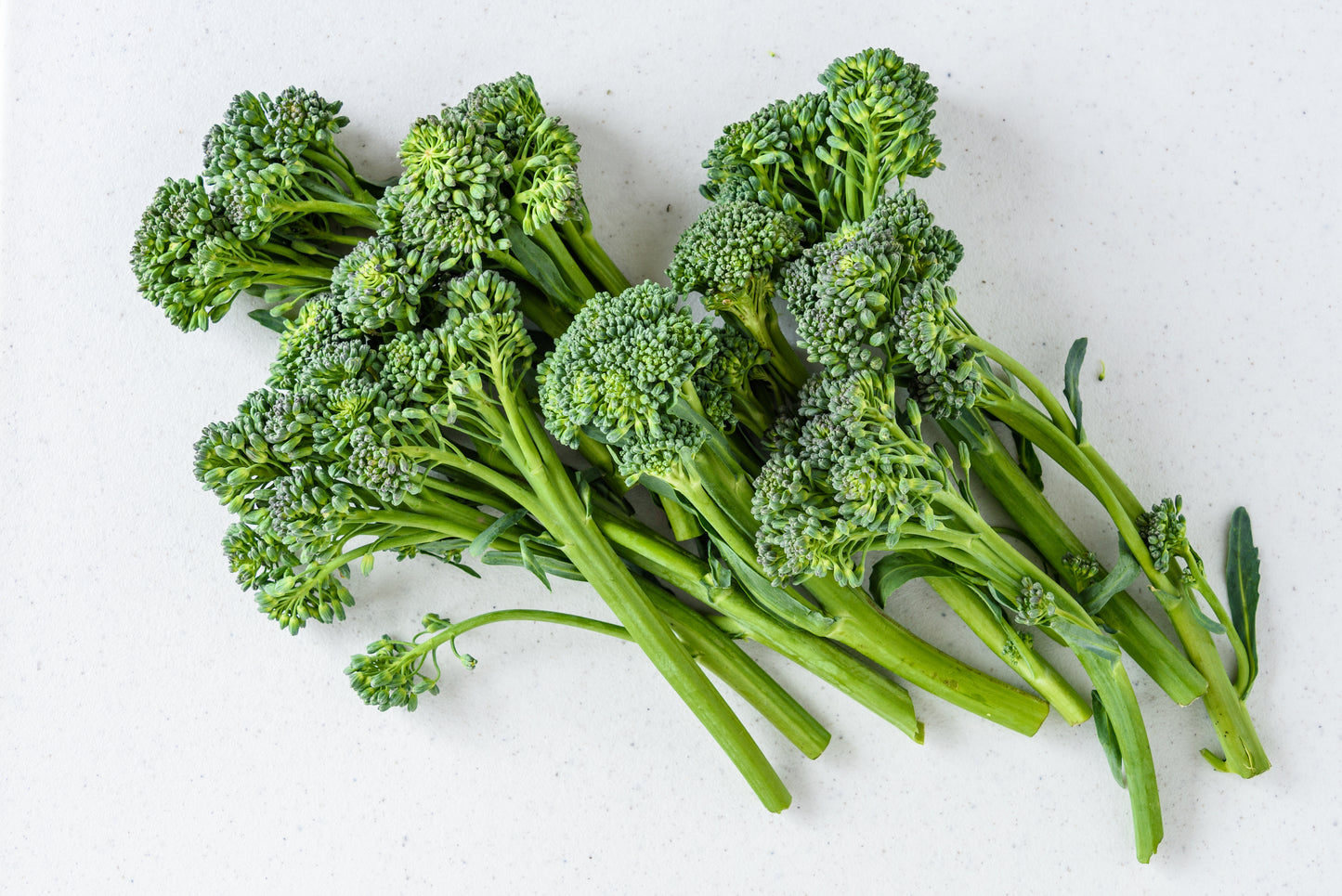 Broccolini  - Fresh Cut