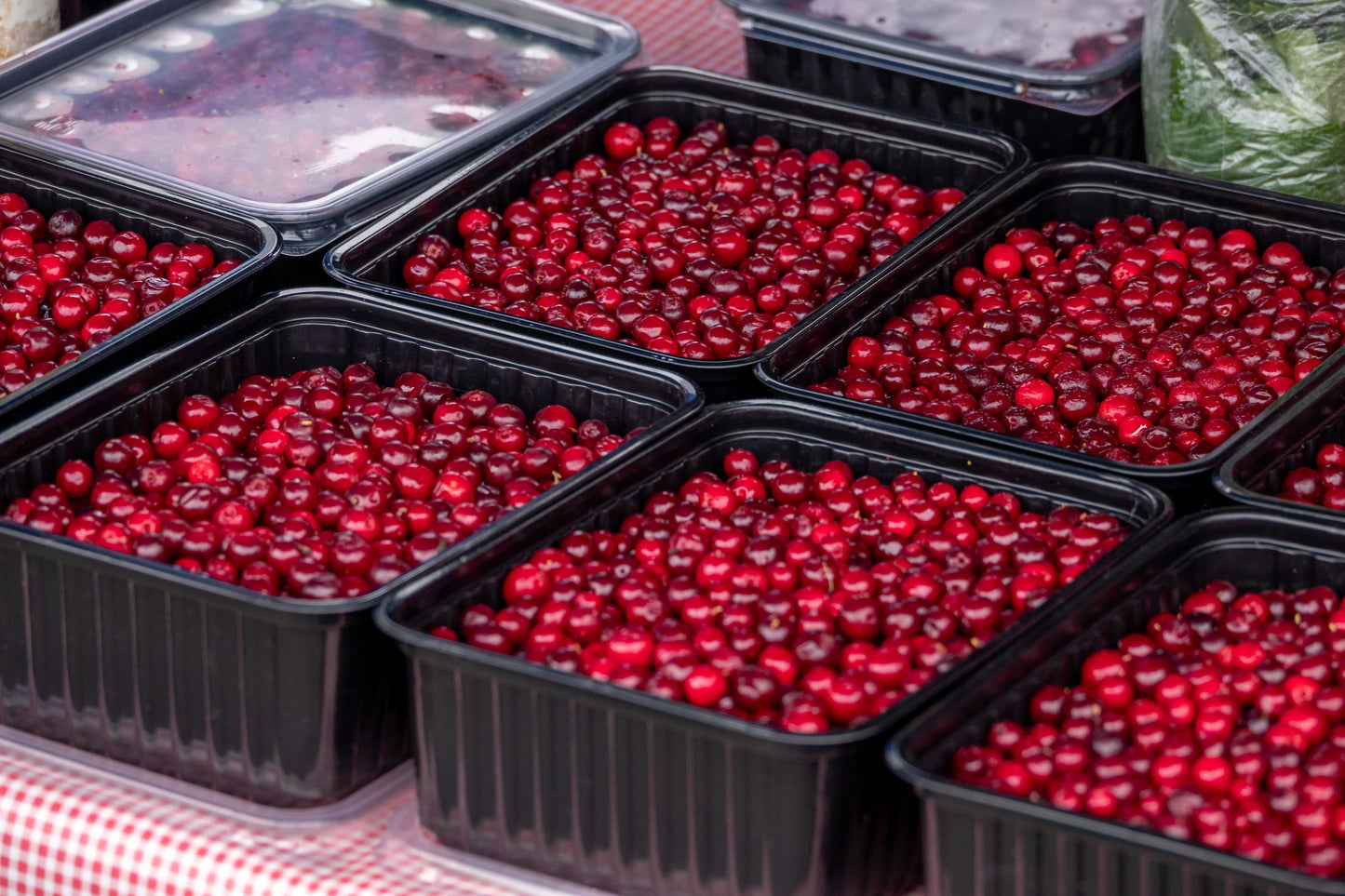 Cranberries