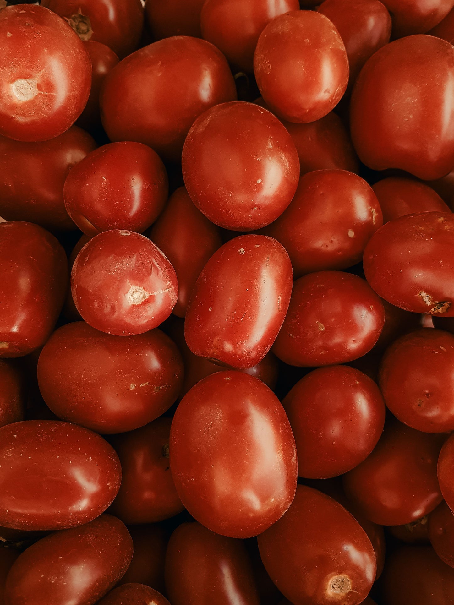 Tomato Grape
