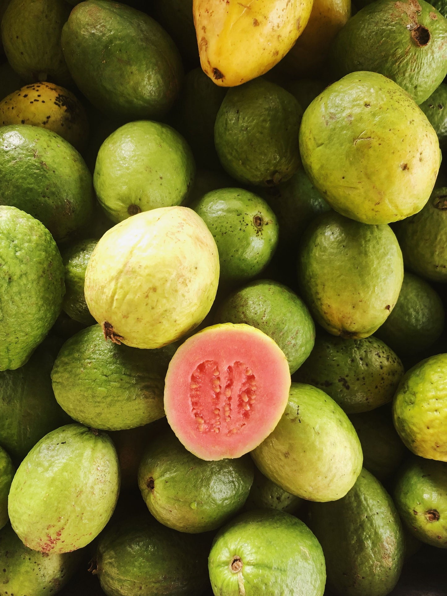 Guava Slices  - Fresh Cut