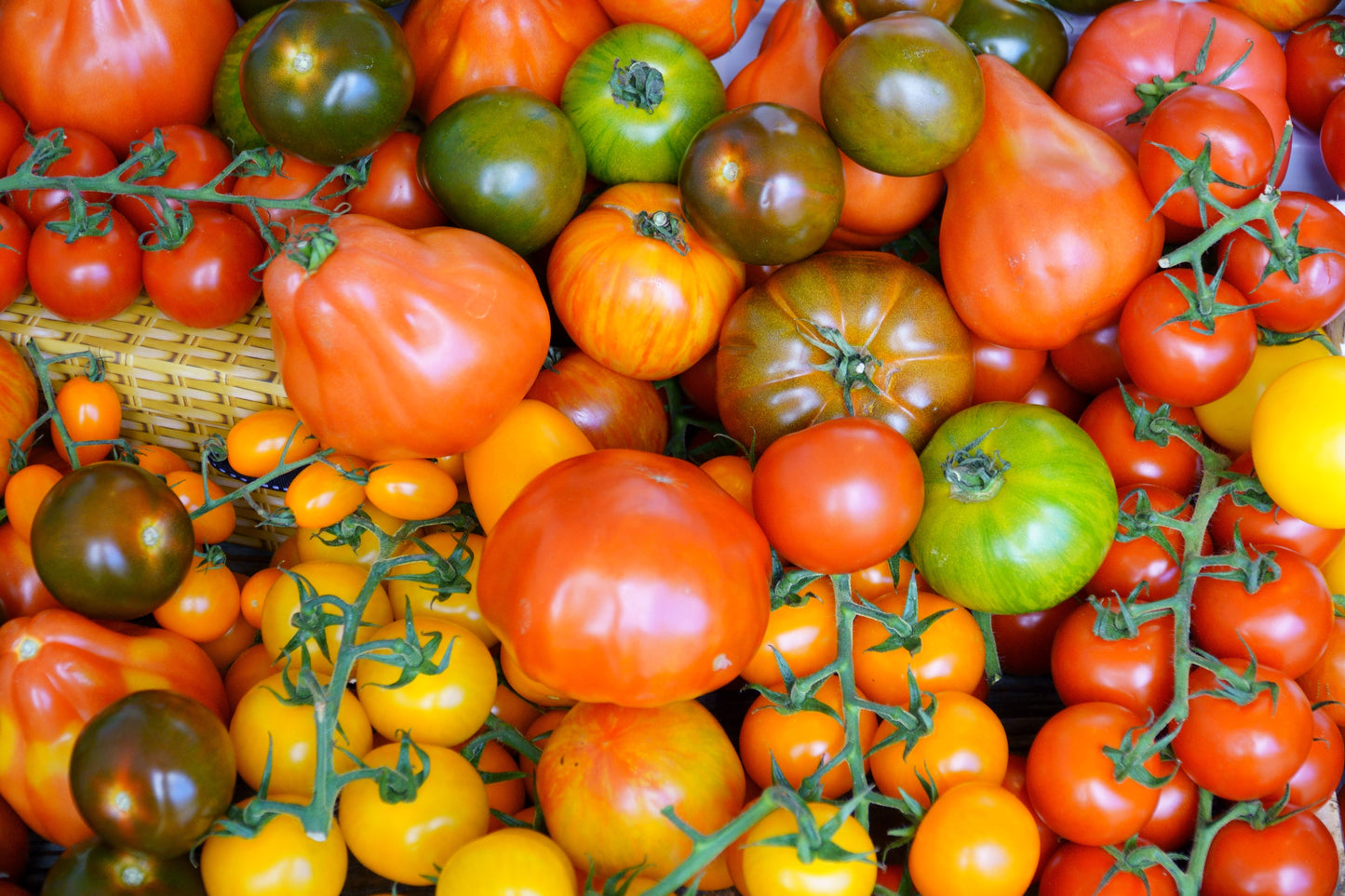 Tomatoes Heirloom