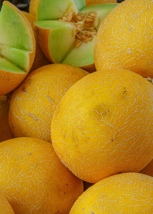 Honeydew 8 Count
