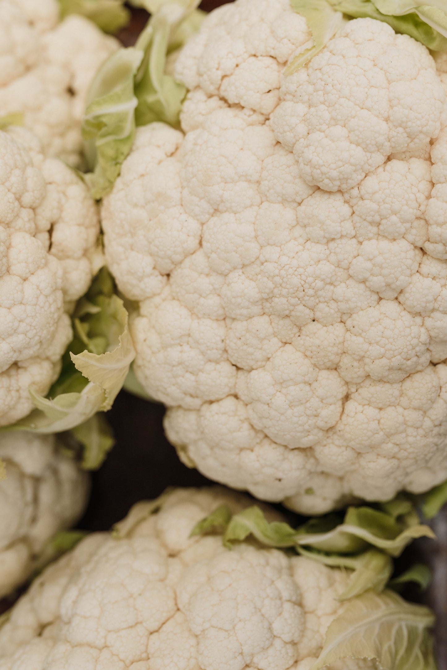 Cauliflower