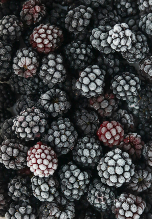 Blackberries 12 count / 6 oz