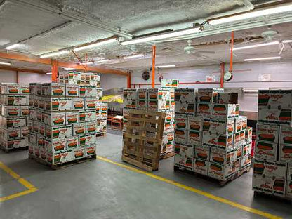 Oranges 138 Count