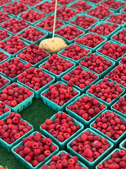 Raspberries 2 oz 100 Count