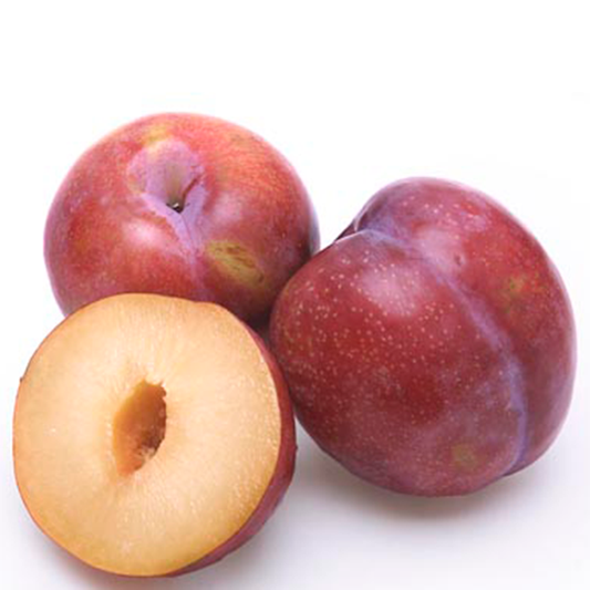 Red Plums 20 Lbs