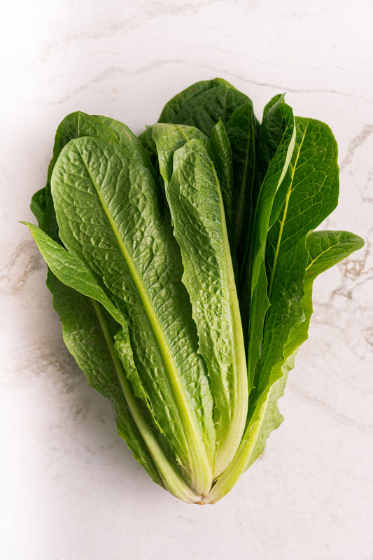 Butterhead Lettuce- Whole Head- Hydroponic 2 Count