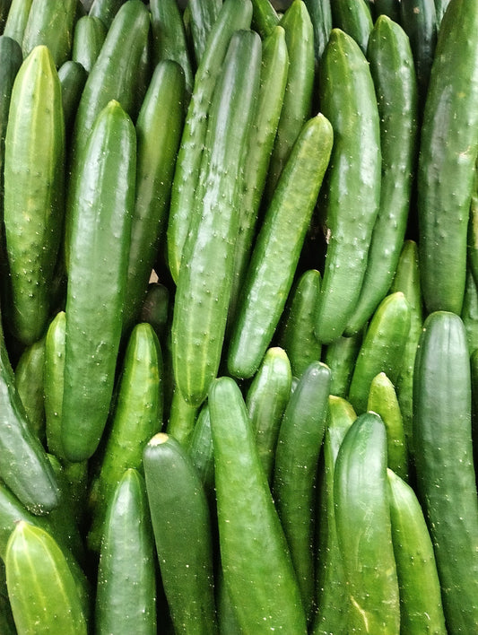 Slicing Cucumbers 5 LBS