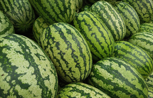 Watermelon Large 1 Count