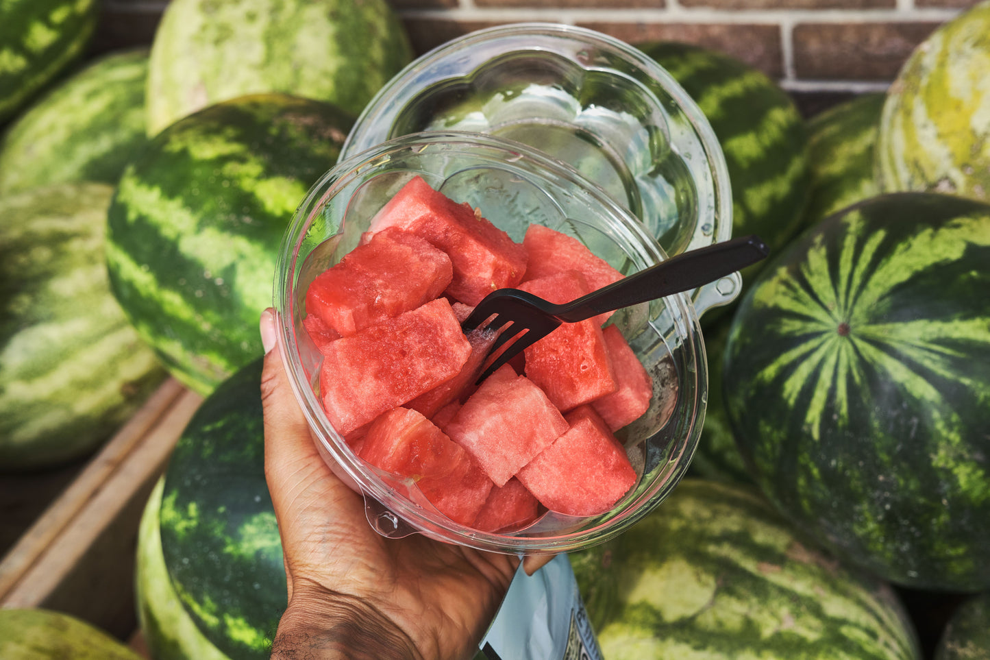 Watermelon Chunk
