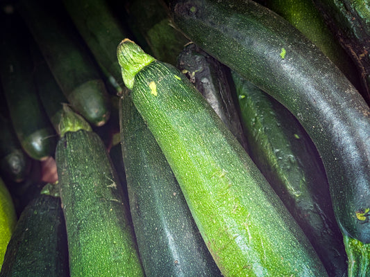 Green Zucchini 10 Lb Case